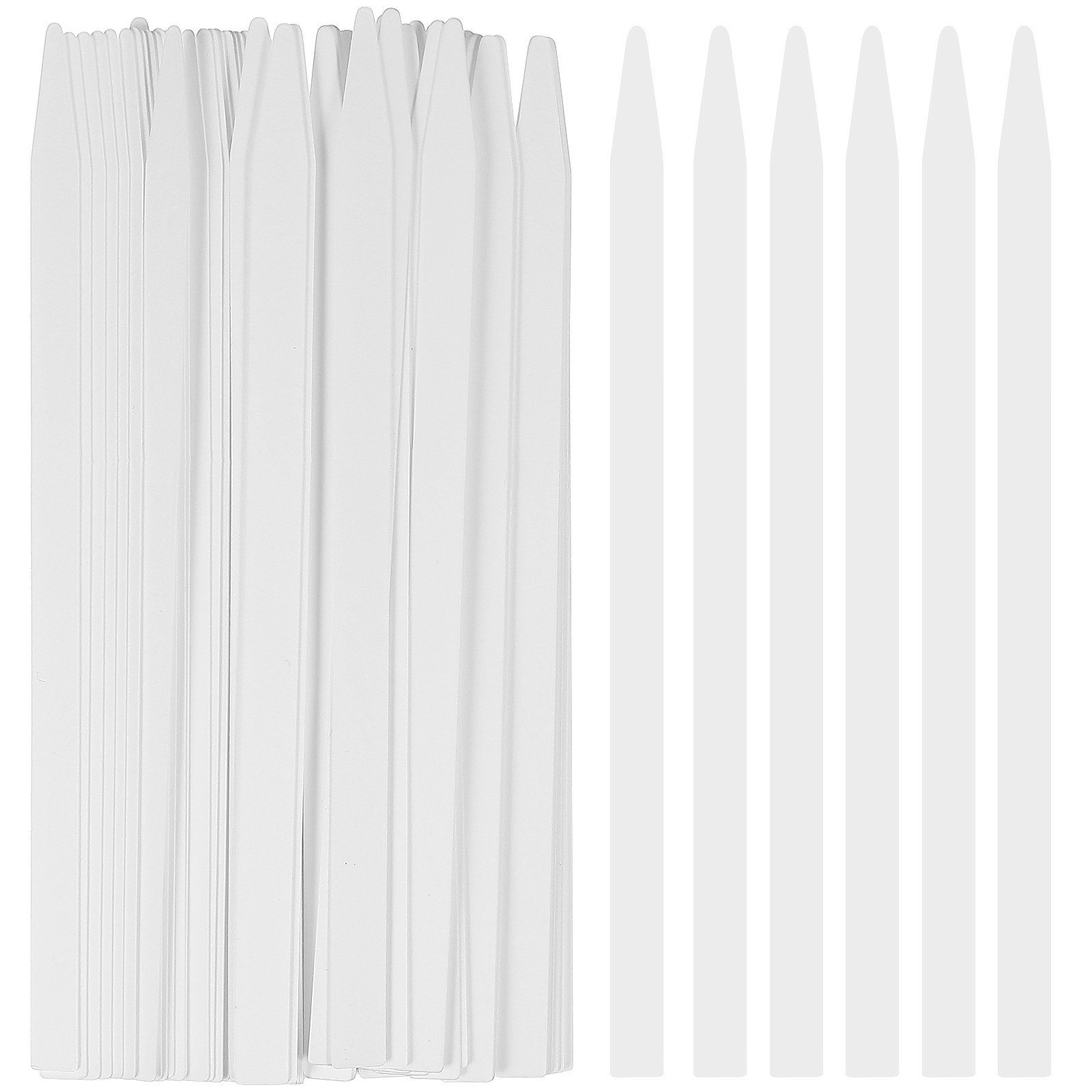100Pcs Fragrance Test Strips P - Fragrance World Perfume review and price