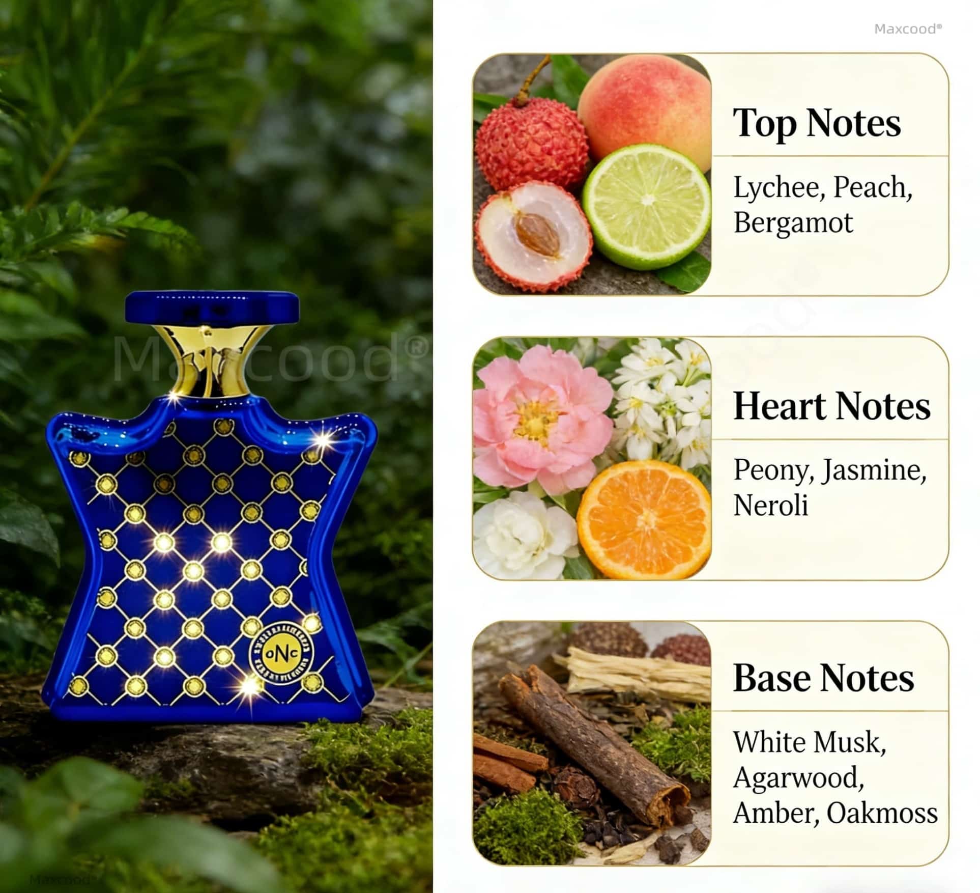 Citrus and Floral Perfume Long - Perfume Fragrance Dupe review and price