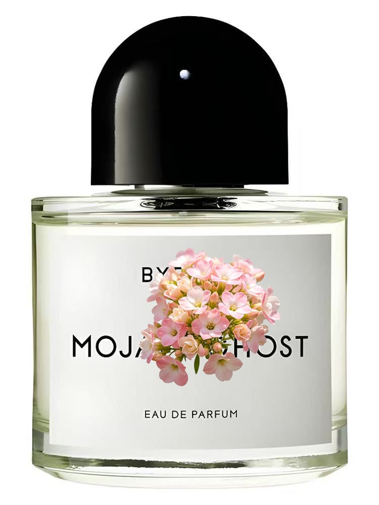 MOJAVE  OUT OF STOCK  Unisex E - Perfume Fragrance Dupe review and price